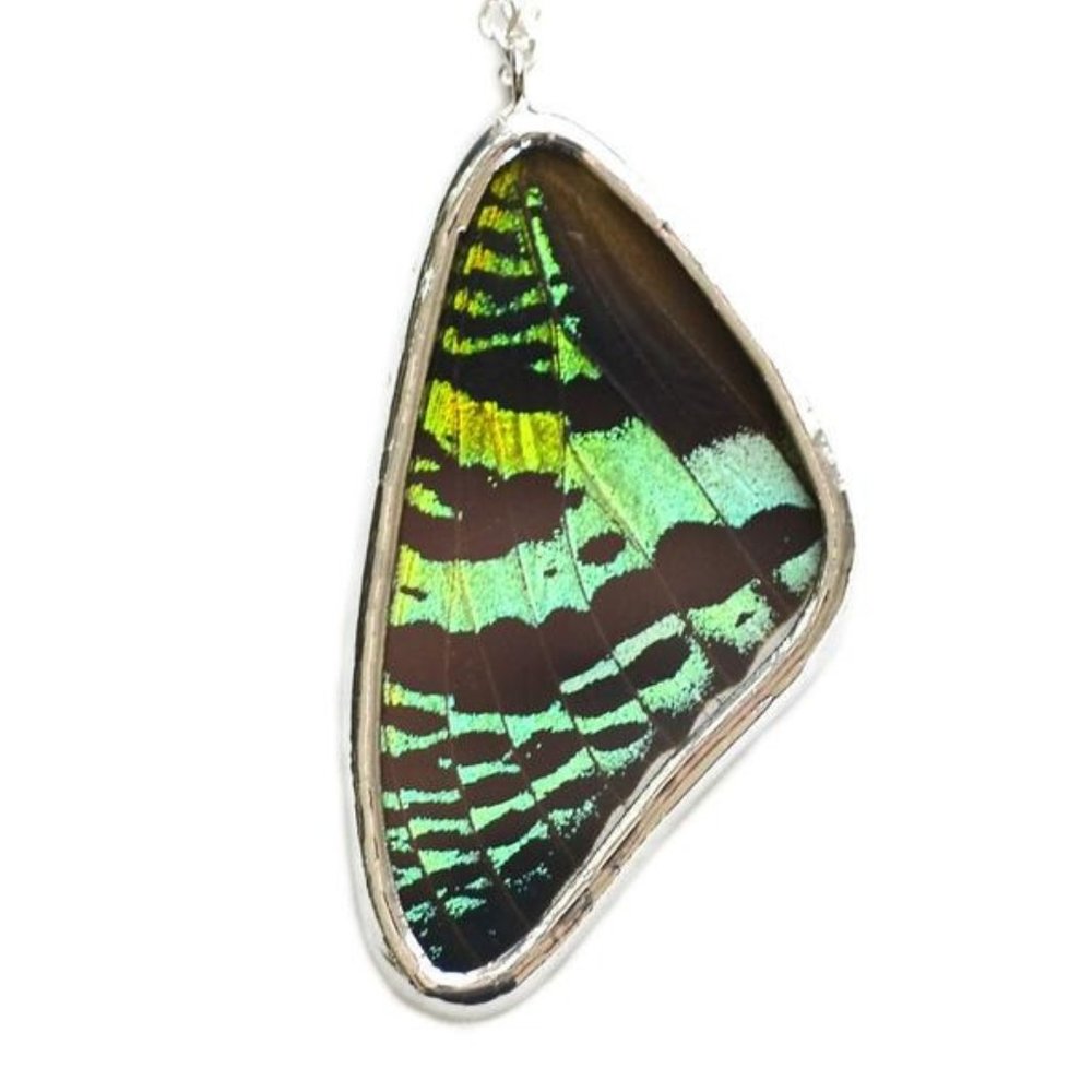 Moth Wing Necklace Pendant Sunset Moth Butterfly